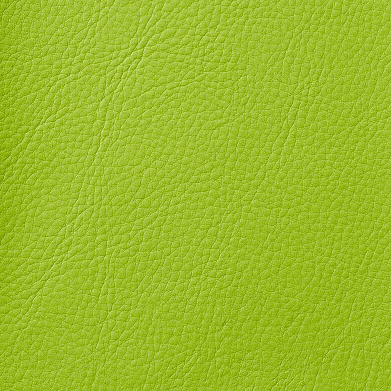 ライオン事務器 スタッキングチェアー　座クッション付 グリーン No.726NS-WS 1台（ご注文単位1台）【直送品】