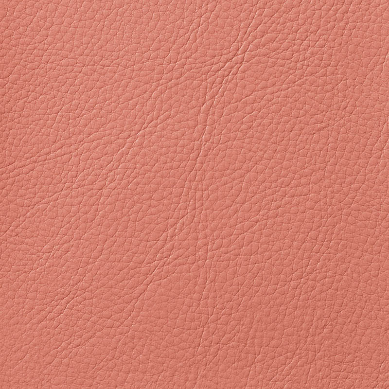 ライオン事務器 スタッキングチェアー 座クッション付 ピンク No.726NS-WS 1台(ご注文単位1台)【直送品】