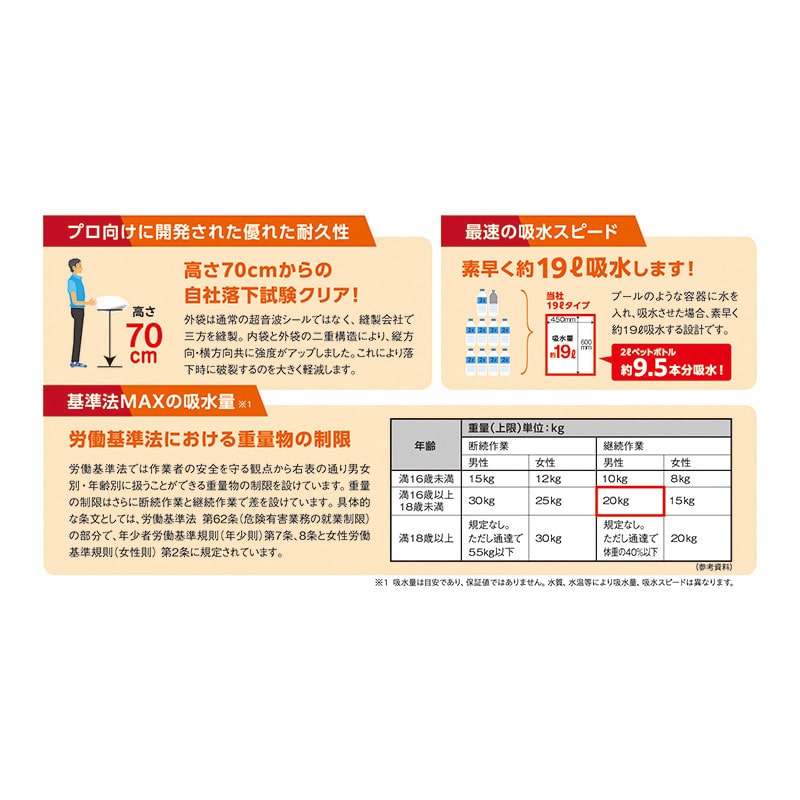 第一衛材 防災人　水たまり吸水シート BLOCK20　10枚入 BMS-004 1袋（ご注文単位5袋）【直送品】