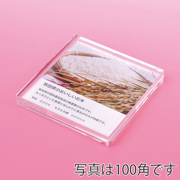 友屋 アクリルプライサー 13mm厚 50角 60587-08 1個（ご注文単位5個）【直送品】