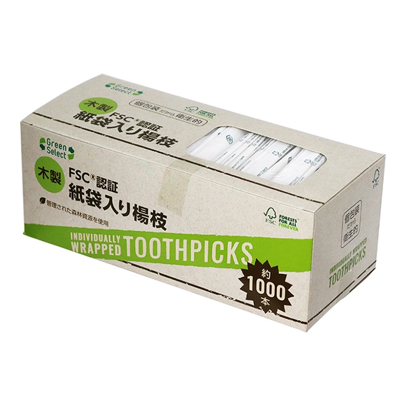 大和物産 Green Select 紙袋入楊枝 1000本入 1箱（ご注文単位50箱）【直送品】