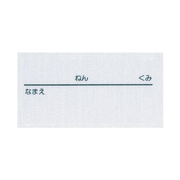 デビカ 名前シール アイロンシール 18片入 063615 1個（ご注文単位1個）【直送品】