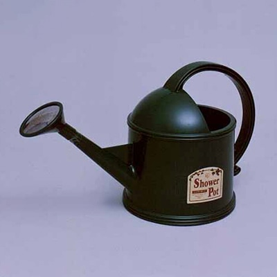 アイリスオーヤマ シャワーポット グリーン PT-38 1個(ご注文単位1個)【直送品】