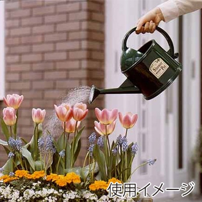 アイリスオーヤマ シャワーポット グリーン PT-38 1個(ご注文単位1個)【直送品】