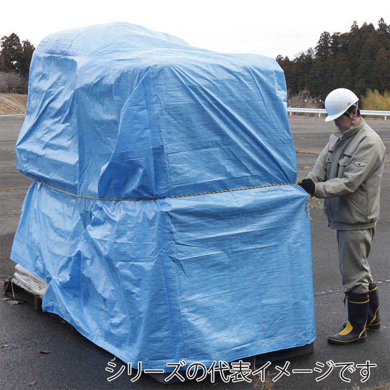 アイリスオーヤマ ブルーシート #2000 360×540cm ブルー B20-3654 1枚(ご注文単位1枚)【直送品】