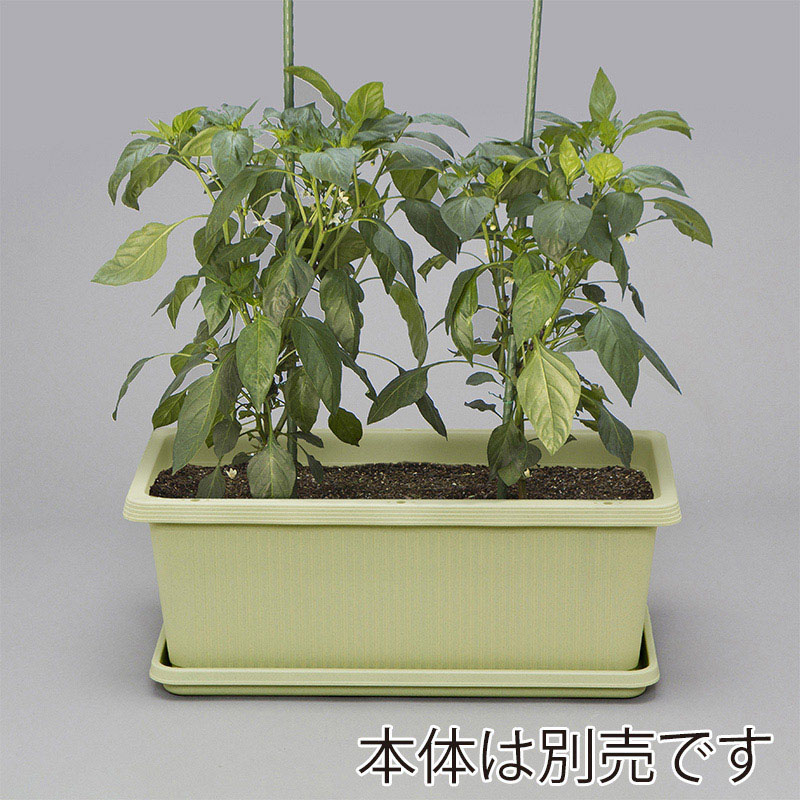 アイリスオーヤマ ベジタブルプランター　受皿 680　ベジタブルグリーン  1個（ご注文単位1個）【直送品】