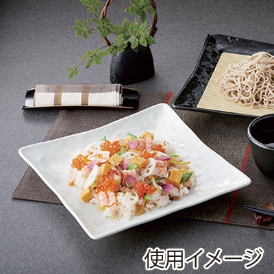 スリーライン シェルミン 角皿 白色 235×235mm SM-11497SW 1枚(ご注文単位5枚)【直送品】