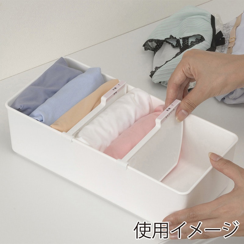 イノマタ化学 下着収納ケース M ホワイト 2953 1個(ご注文単位1個)【直送品】