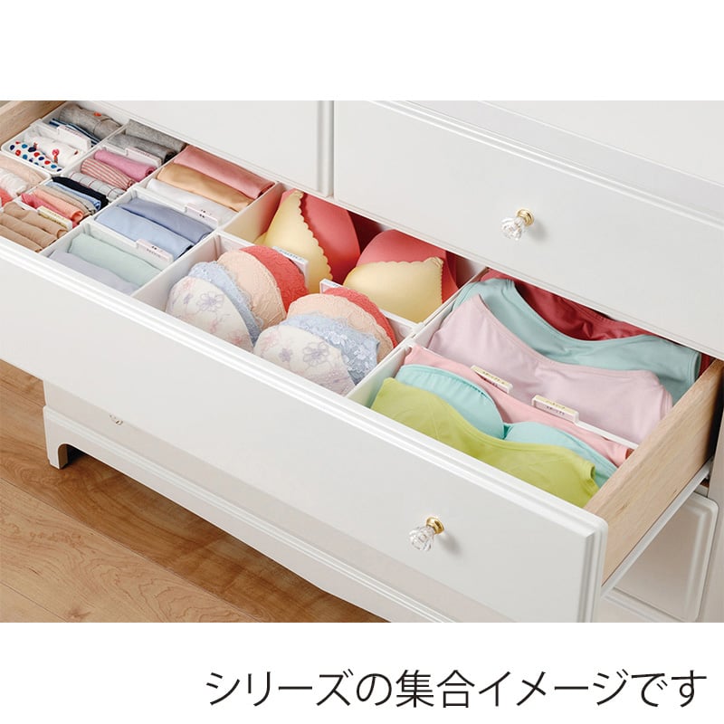 イノマタ化学 下着収納ケース M ホワイト 2953 1個(ご注文単位1個)【直送品】