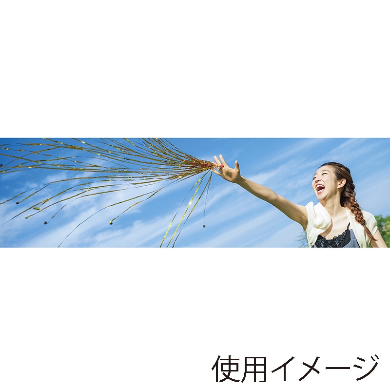 フジカ 投げテープ パーティフラッシュ 金テープ NF-M-GL 1個(ご注文単位1個)【直送品】