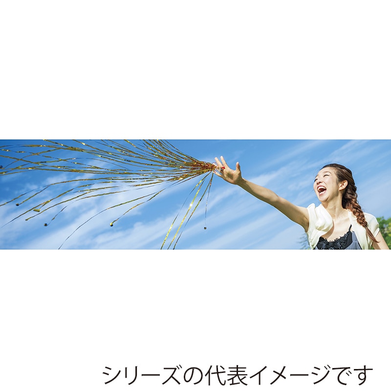 フジカ 投げテープ パーティフラッシュ メタルミックス NF-M-MX 1個(ご注文単位1個)【直送品】