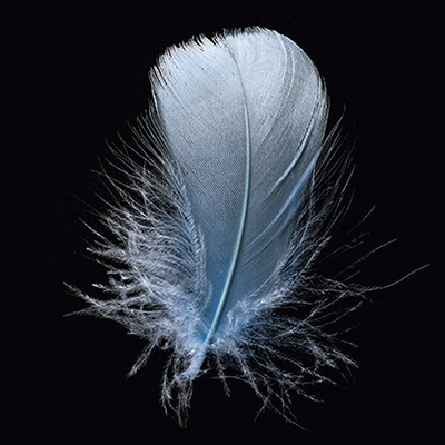 フジカ 羽根 グース 5g スカイブルー スカイブルー 1袋(ご注文単位1袋)【直送品】