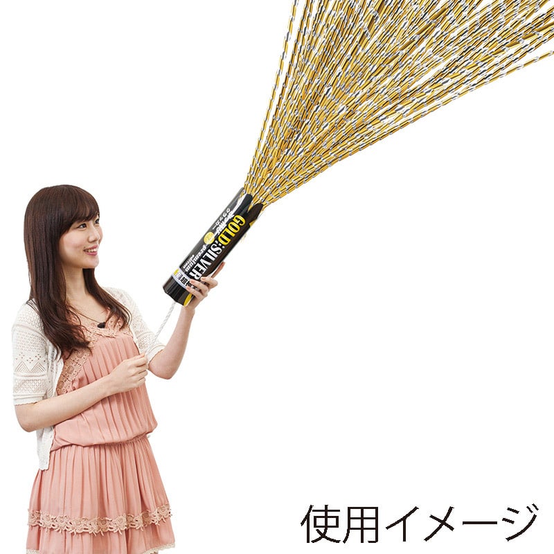 フジカ ぶっ飛びぷレミアムクラッカーSG SBT-PSG 1袋(ご注文単位1袋)【直送品】