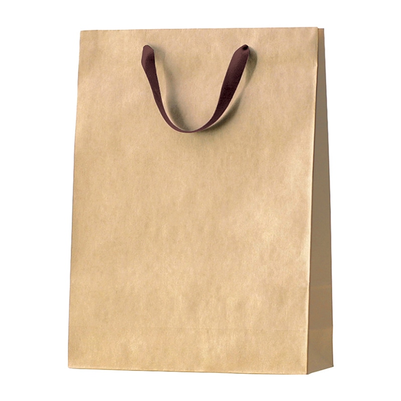 ラクスルクラフツ 手提げ紙袋 クラフトバッグ 大 ロング 90002100 10枚/袋（ご注文単位10袋）【直送品】