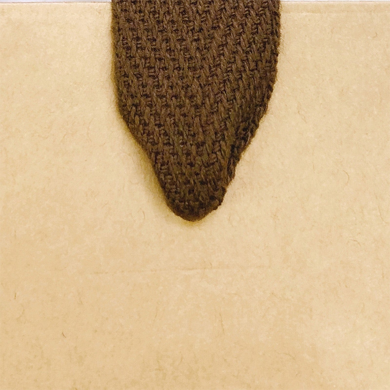 ラクスルクラフツ 手提げ紙袋 クラフトバッグ ワイド 90003200 10枚/袋（ご注文単位10袋）【直送品】