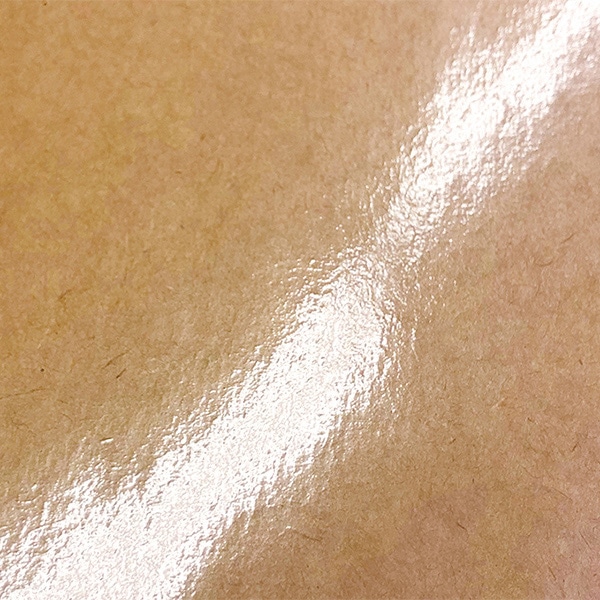 ラクスルクラフツ 手提げ紙袋 ラミクラフトバッグ 大 タテ型 90003300 10枚/袋（ご注文単位10袋）【直送品】