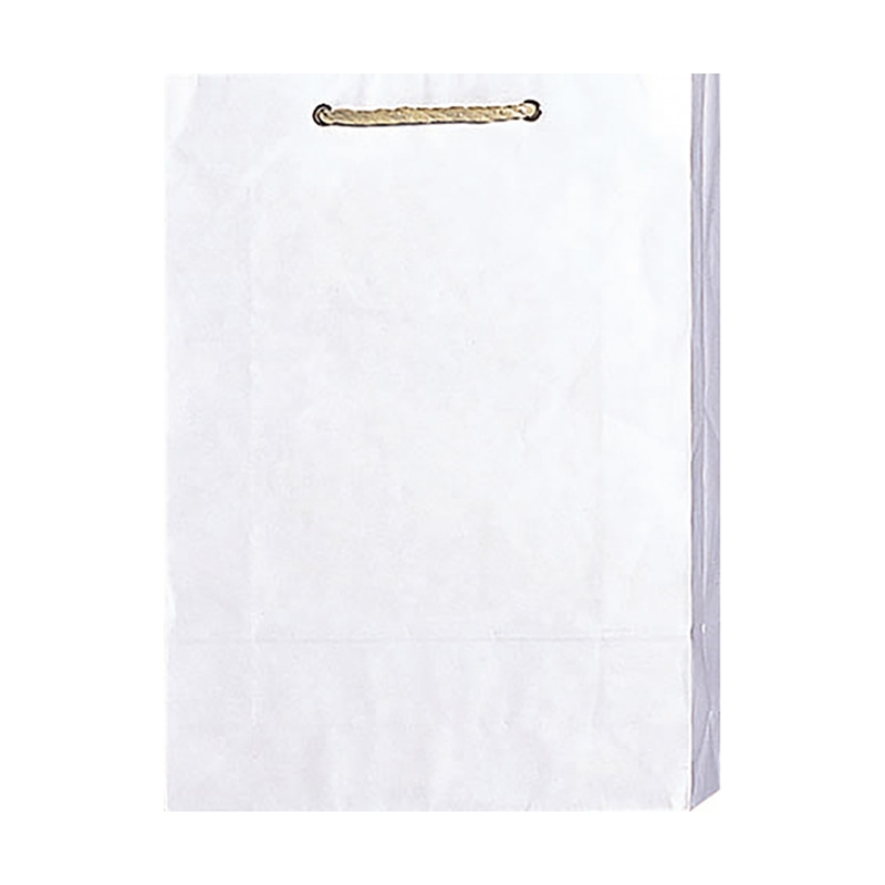 ラクスルクラフツ 手提げ紙袋 キャリーバッグ M 白 90009101 10枚/袋（ご注文単位10袋）【直送品】