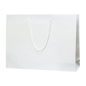 ラクスルクラフツ 手提げ紙袋 クラフトエンホ゛スバッグ LL-W ホワイト 90101701 10枚/袋（ご注文単位5袋）【直送品】