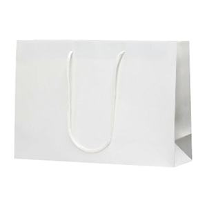 ラクスルクラフツ 手提げ紙袋 クラフトエンホ゛スバッグ L-W ホワイト 90101601 10枚/袋（ご注文単位5袋）【直送品】