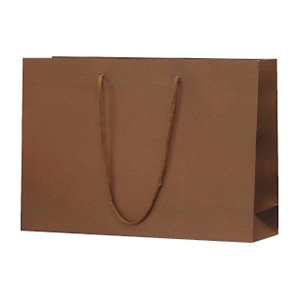 ラクスルクラフツ 手提げ紙袋 クラフトエンホ゛スバッグ L-W ブラウン 90101678 10枚/袋（ご注文単位5袋）【直送品】