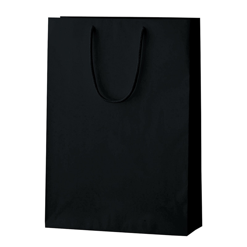 ラクスルクラフツ 手提げ紙袋 シャイニーバッグ L ブラック 90100519 10枚/袋（ご注文単位10袋）【直送品】