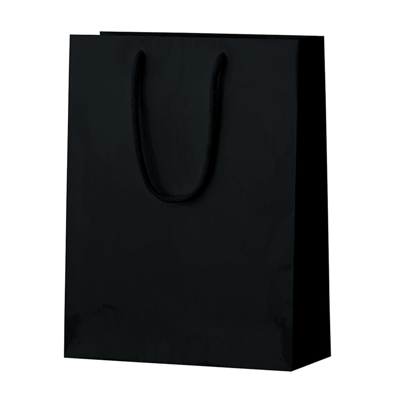 ラクスルクラフツ 手提げ紙袋 シャイニーバッグ M ブラック 90100419 10枚/袋（ご注文単位10袋）【直送品】