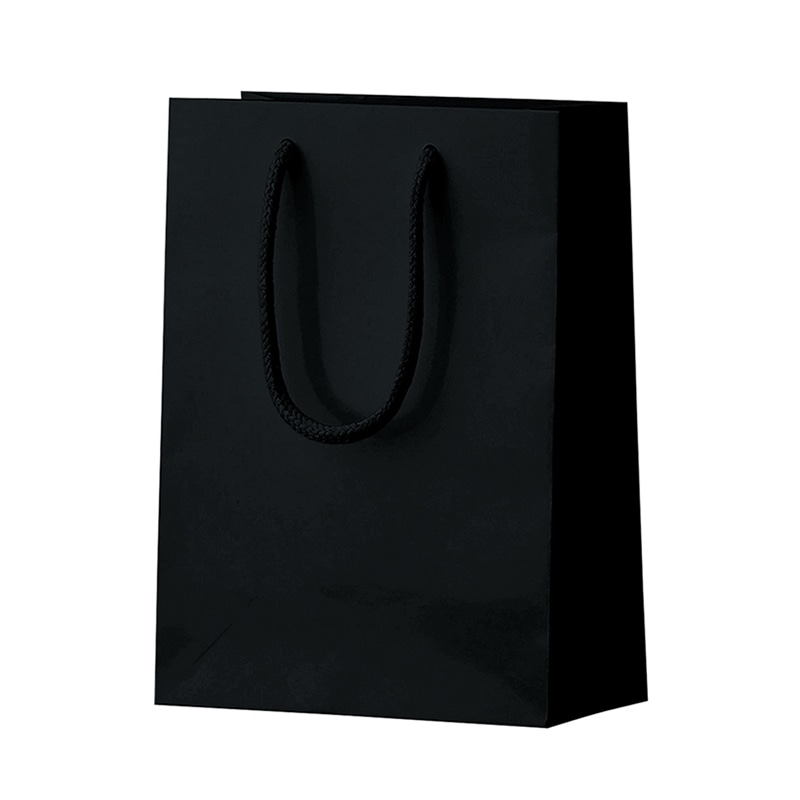 ラクスルクラフツ 手提げ紙袋 シャイニーバッグ XS ブラック 90100119 10枚/袋（ご注文単位10袋）【直送品】