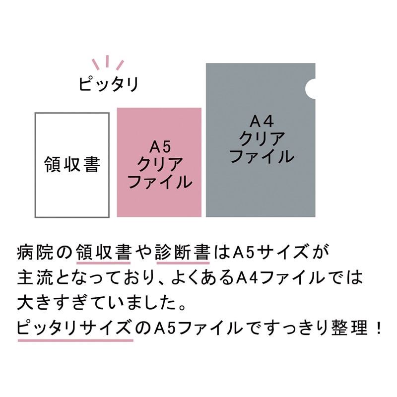 エヒメ紙工 クリアファイル A5 6P PET-FP ピンク 1個(ご注文単位3個)【直送品】