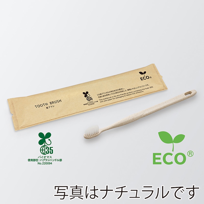 ダイト フォレスト 歯ブラシセット シオンアルファH35 歯磨き粉5g付 エコグリーン 52440 250本/箱（ご注文単位4箱）【直送品】