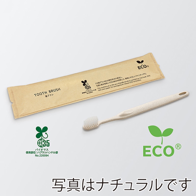 ダイト フォレスト 歯ブラシセット シオンH35 歯磨き粉3g付 エコグリーン 52444 250本/箱（ご注文単位4箱）【直送品】