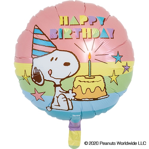 TakaraTec アイブレックスバルーン バースデー パステル 0201519101 1個(ご注文単位5個)【直送品】