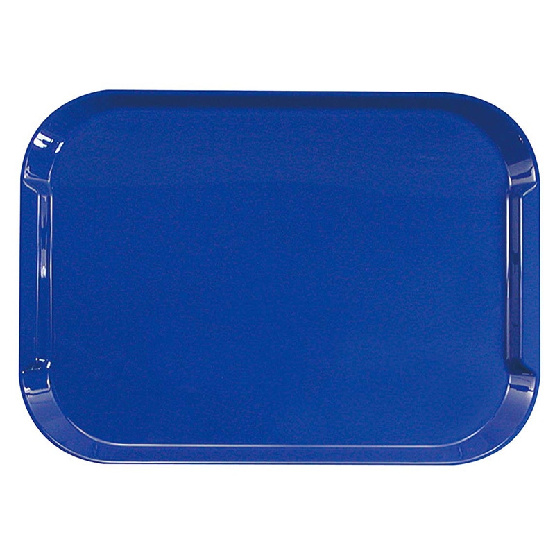 ネオトレー　NS　ブルー   1個（ご注文単位1個）【直送品】