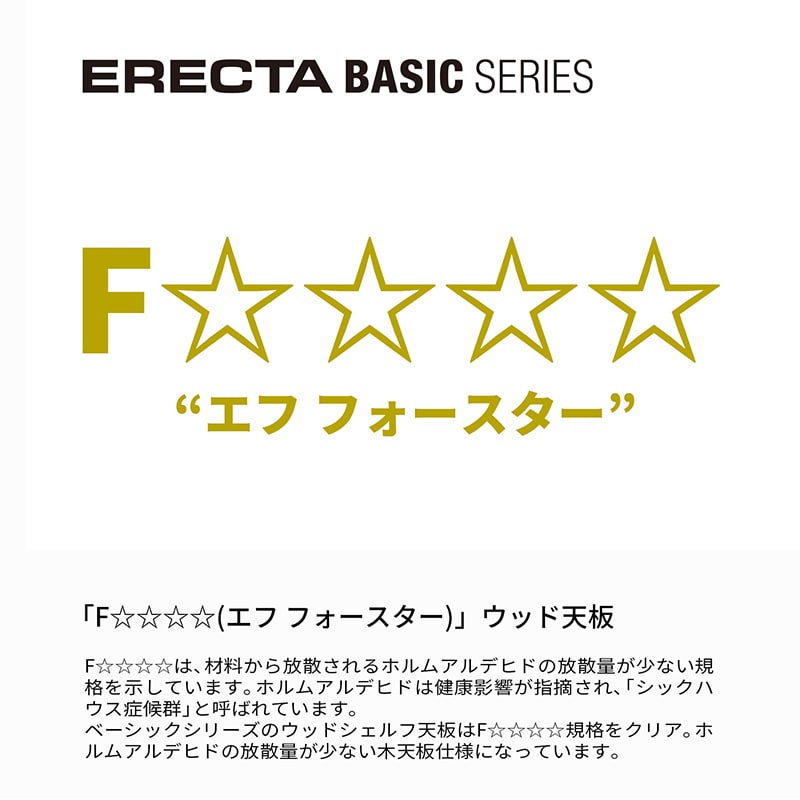 エレクター シェルフパーツ ベーシック ウッドシェルフ 天板用 W1200×D450mmナチュラルウッド シルバーフレーム 1枚(ご注文単位1枚)【直送品】