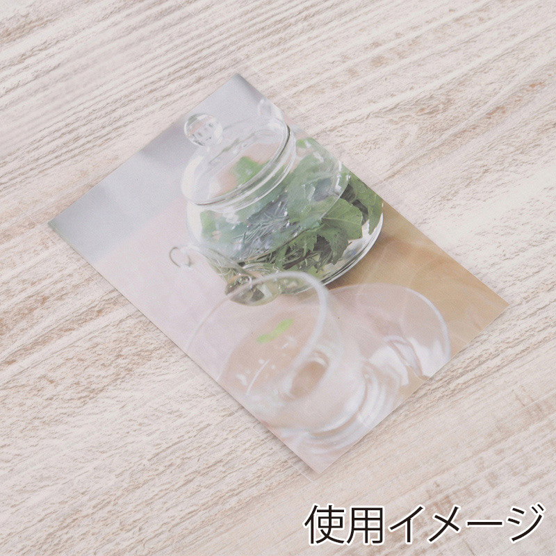 伊藤忠リーテイルリンク OPP袋 フタ付 L判写真用 100枚入 OBT-13 1パック(ご注文単位200パック)【直送品】