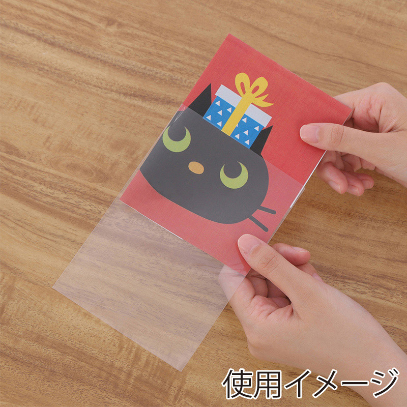 伊藤忠リーテイルリンク OPP袋 100×150 100枚入 OBS-30 1パック(ご注文単位160パック)【直送品】