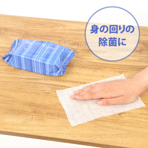 伊藤忠リーテイルリンク 除菌ウェットティッシュ アルコールタイプ 詰替用 100枚入 DPN-003 1パック(ご注文単位24パック)【直送品】