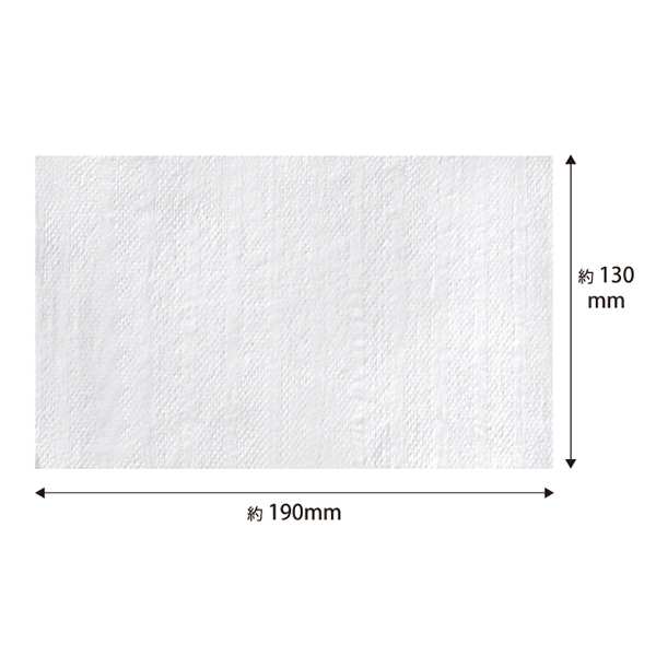伊藤忠リーテイルリンク 除菌ウェットティッシュ アルコールタイプ 詰替用 100枚入 DPN-003 1パック(ご注文単位24パック)【直送品】