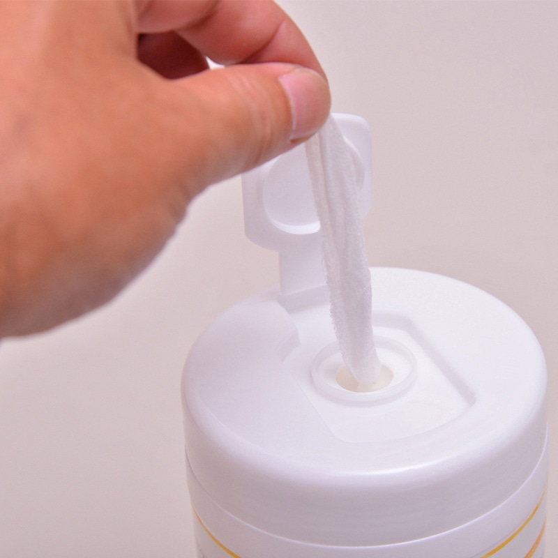 伊藤忠リーテイルリンク おそうじシート ボトルタイプ 100枚入 OSI-001 1パック(ご注文単位24パック)【直送品】