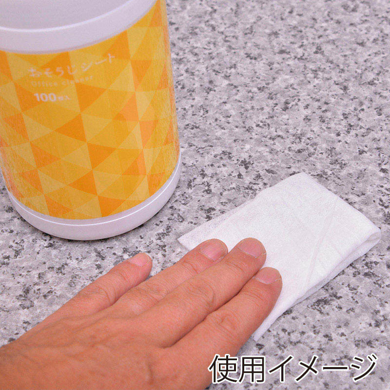 伊藤忠リーテイルリンク おそうじシート ボトルタイプ 100枚入 OSI-001 1パック(ご注文単位24パック)【直送品】