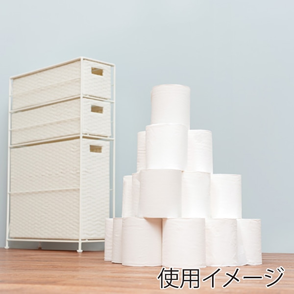 萩原 トイレットペーパーホルダー ホワイト RTR-2429WH 1台（ご注文単位1台）【直送品】