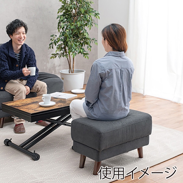 萩原 オットマン ダークグレー ブライトOT-DGY 1台（ご注文単位1台）【直送品】