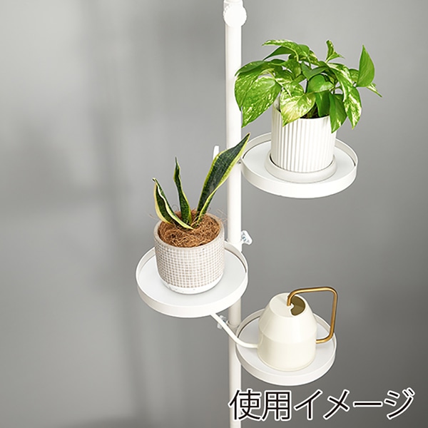 萩原 突っ張りラック 棒&パーツ6点セット 丸型 ホワイト×ホワイト KTR-3116-WH 1セット(ご注文単位1セット)【直送品】