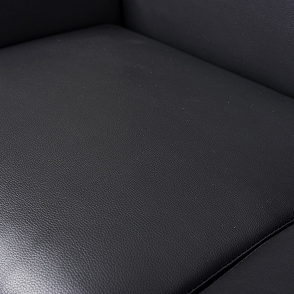 萩原 リッツ ソファ 2人掛け ブラック リッツ-2P-PBK 1台(ご注文単位1台)【直送品】