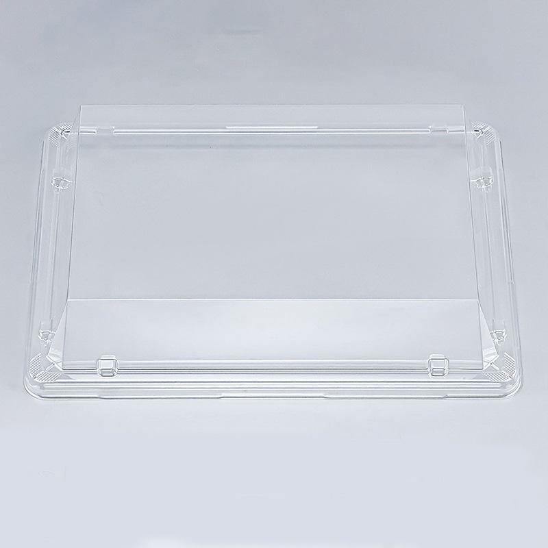 シーピー化成 刺身容器　SF冴盛　外嵌合蓋 24-17AP  50枚/袋（ご注文単位12袋）【直送品】