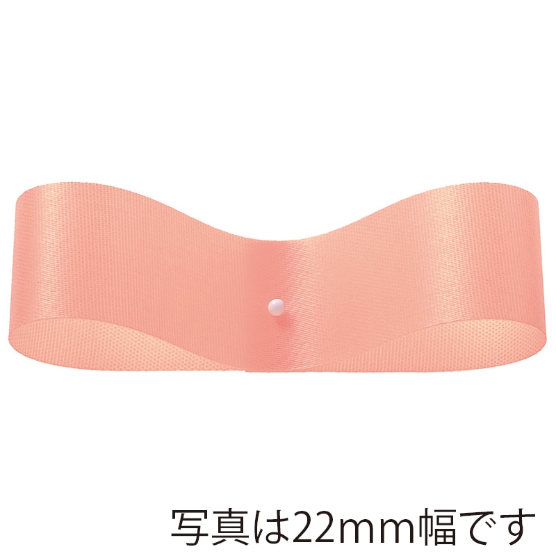 #46 ｻｰﾓﾝｵﾚﾝｼﾞ