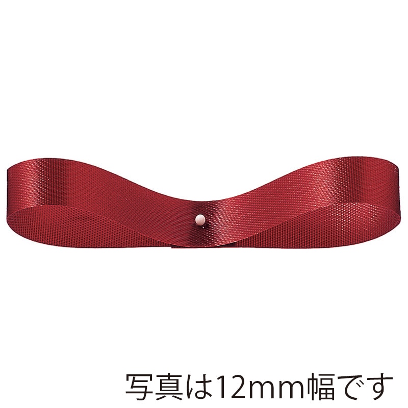 >東京リボン リボン エクセルサテン 03300 24×100 #61 1巻(ご注文単位1巻)【直送品】