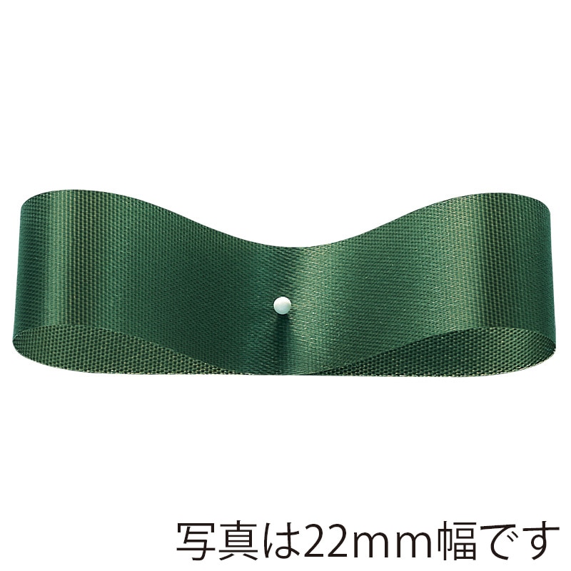 #51 ｱｰｽｸﾞﾘｰﾝ