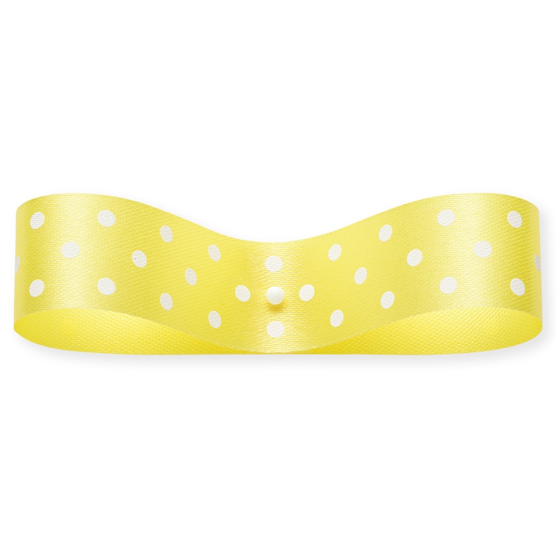 東京リボン リボン　エクセル水玉　19804 18×24 #2 1巻（ご注文単位1巻）【直送品】