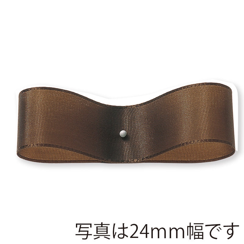 東京リボン リボン　フォルテ　27100 12×30 #25 1巻（ご注文単位1巻）【直送品】