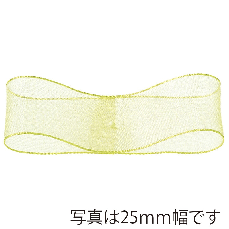 東京リボン リボン エッジドオーガンジー 31600 12×30 #65 1巻(ご注文単位1巻)【直送品】